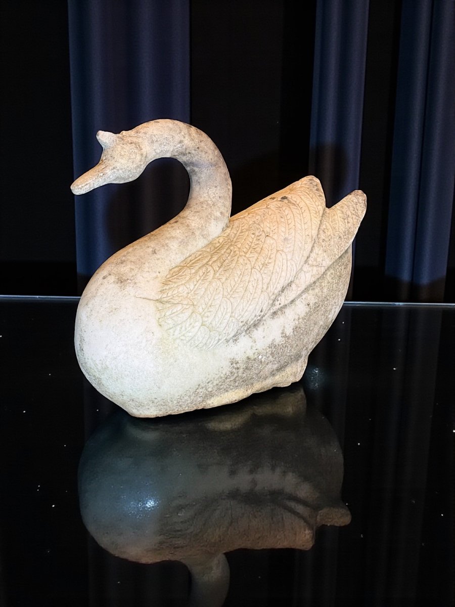 Swan In White Statuary Carrara Marble -photo-5