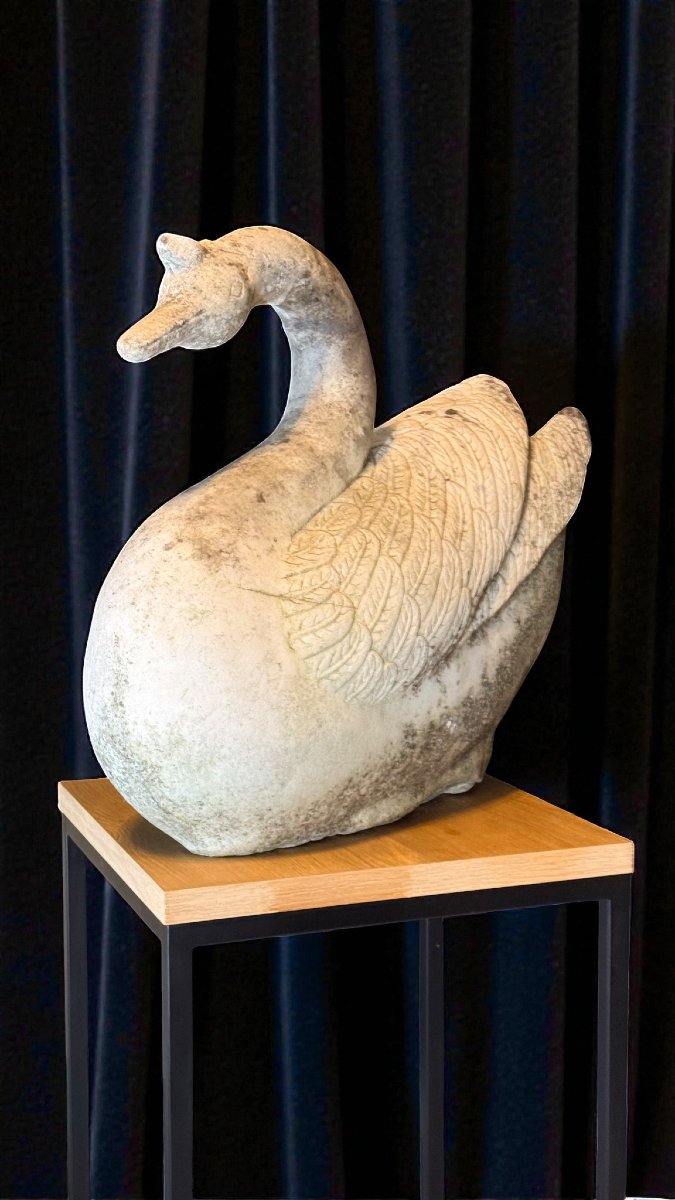 Swan In White Statuary Carrara Marble -photo-6