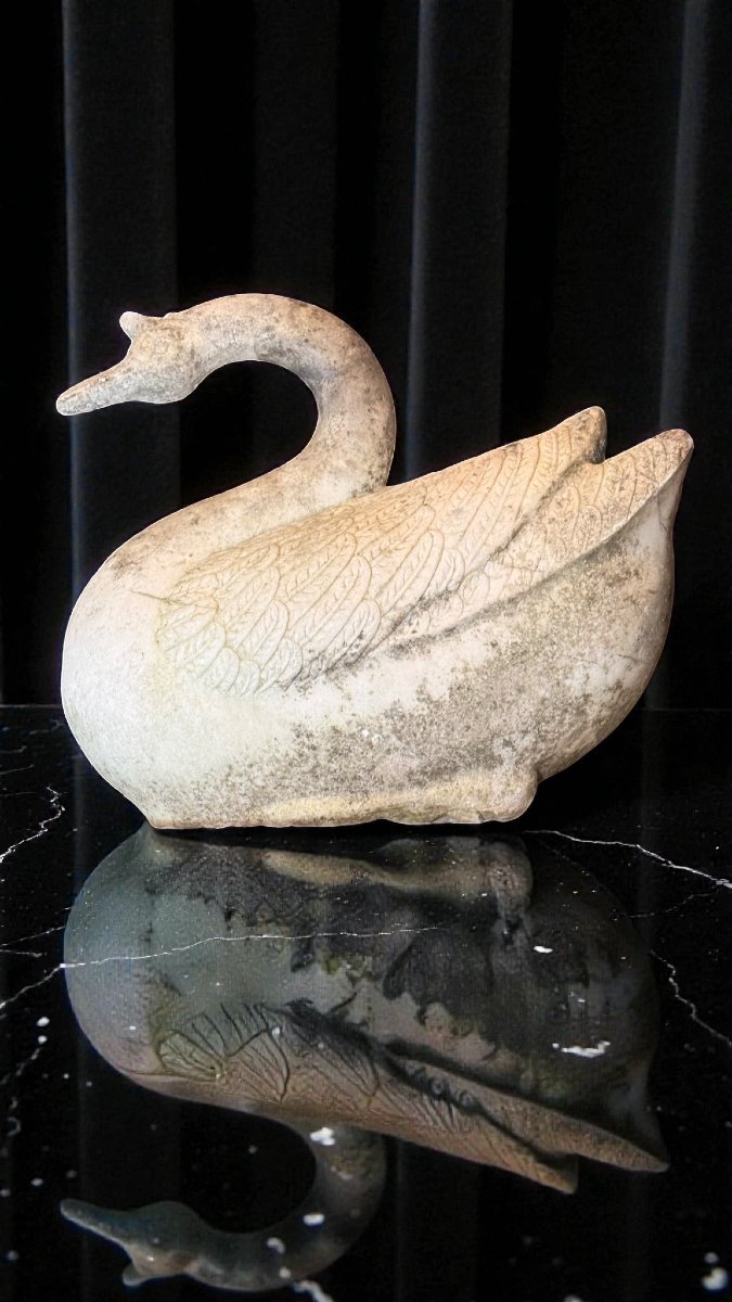 Swan In White Statuary Carrara Marble -photo-7