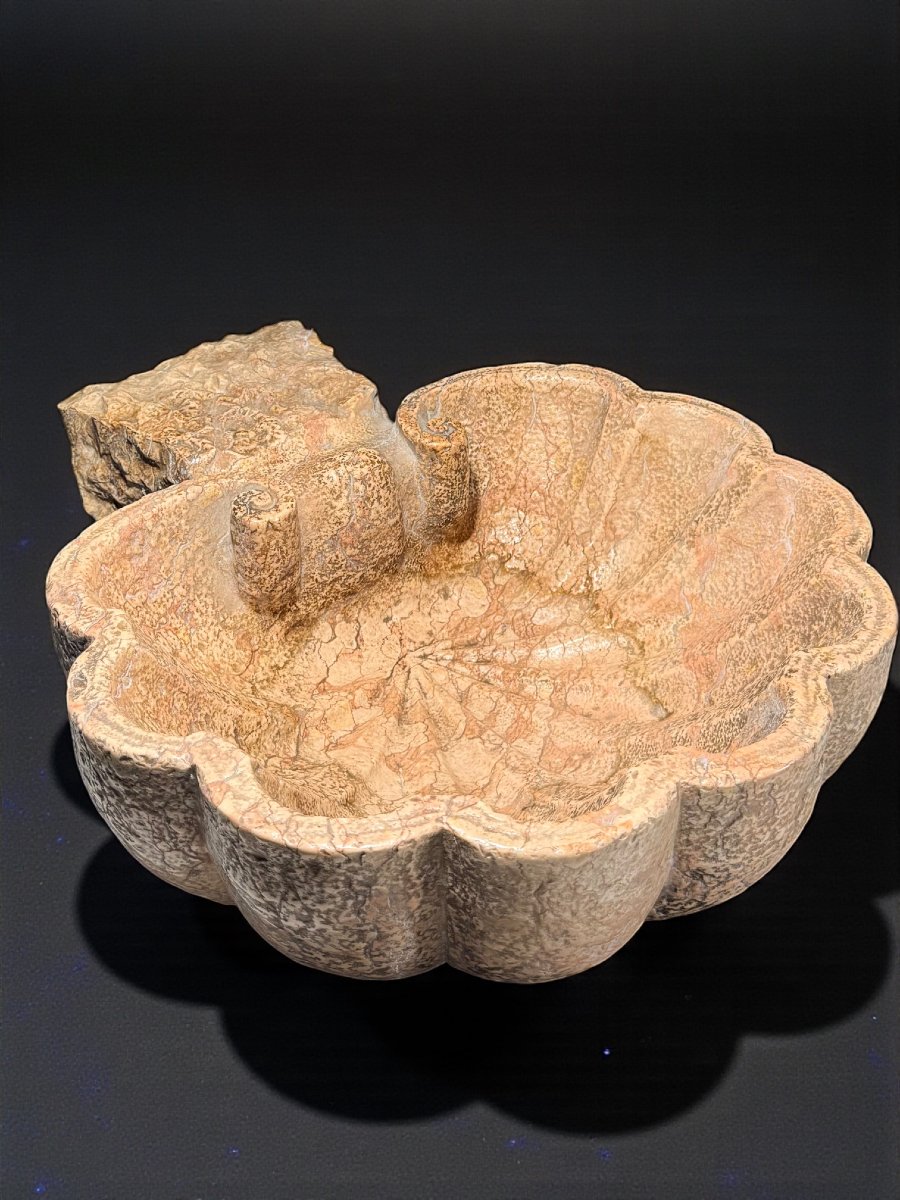 Antique Shell Vase/holy Water Font XVII° -photo-4