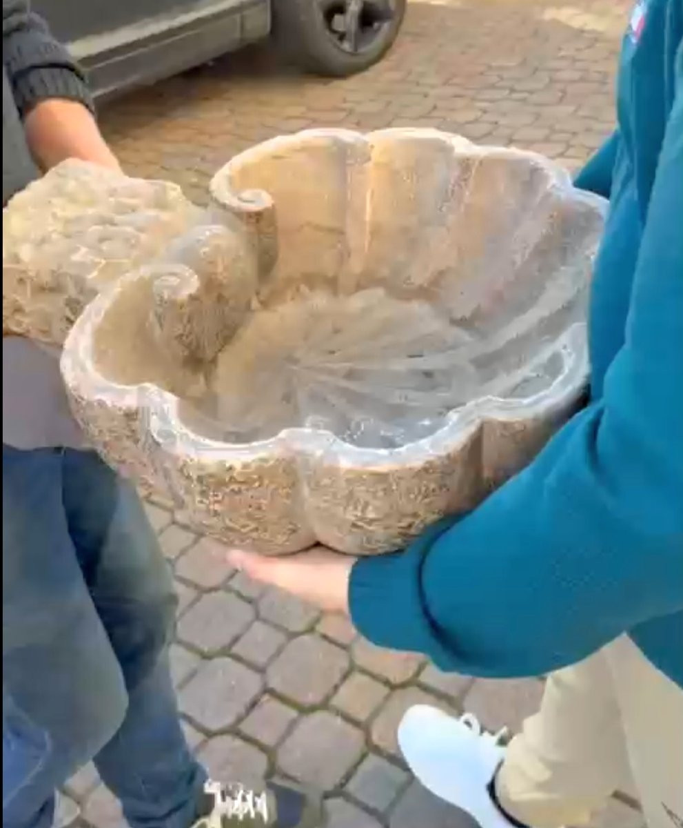 Antique Shell Vase/holy Water Font XVII° -photo-8