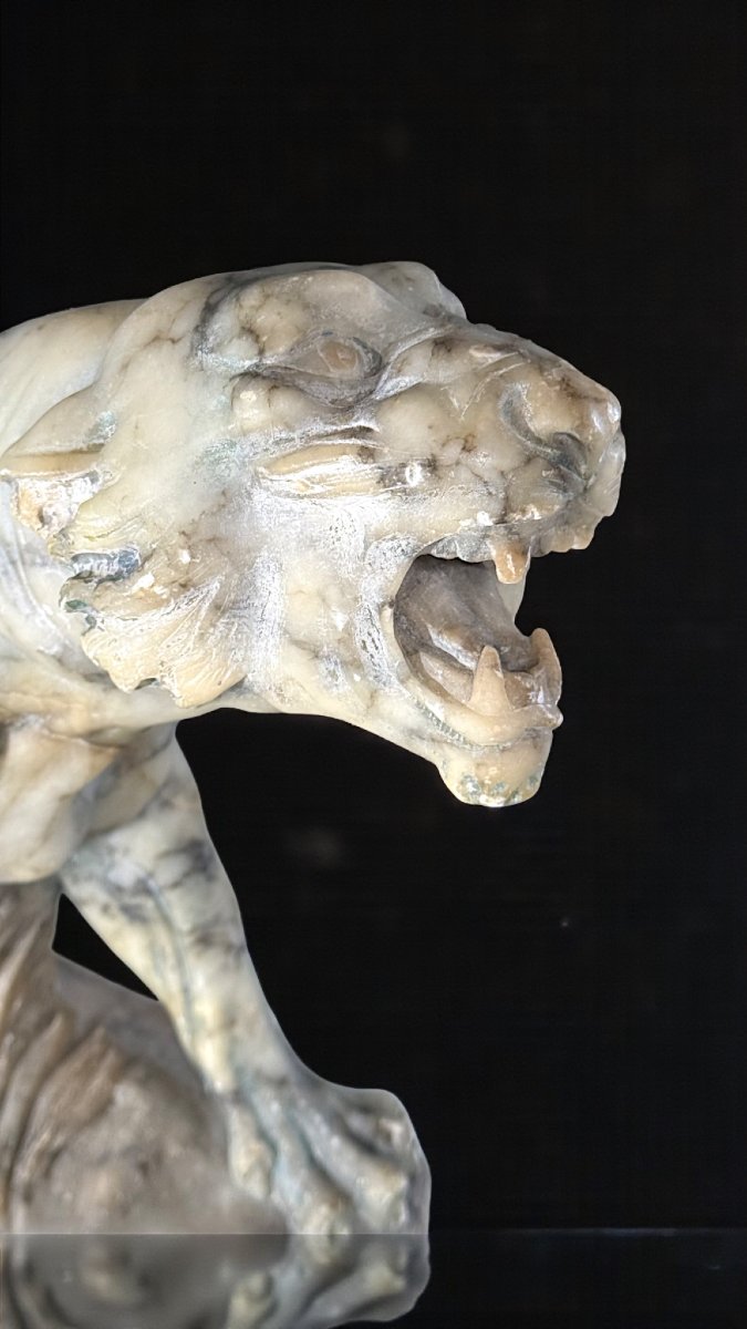 Tigre rugissant, sculpté entièrement à la main dans du marbre arabesque-photo-3