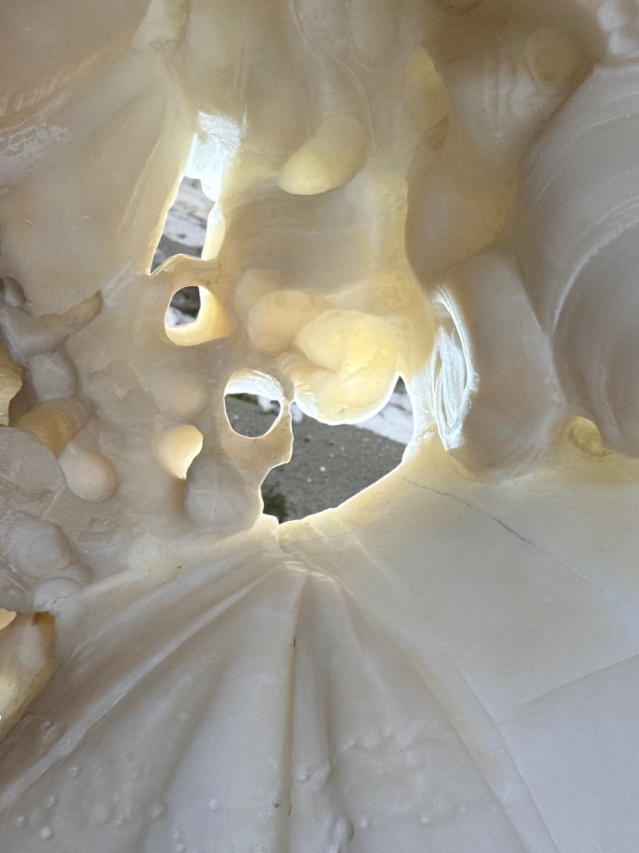 Buste jeune femme souriante coiffée d'un chapeau, dédicace amoureuse au dos, Marbre -photo-8