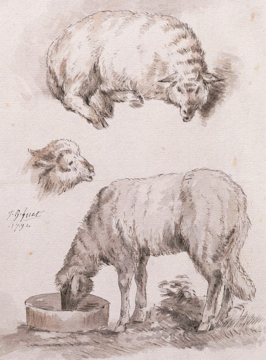 Jean-baptiste Hüet, Three Studies Of Sheeps-photo-2