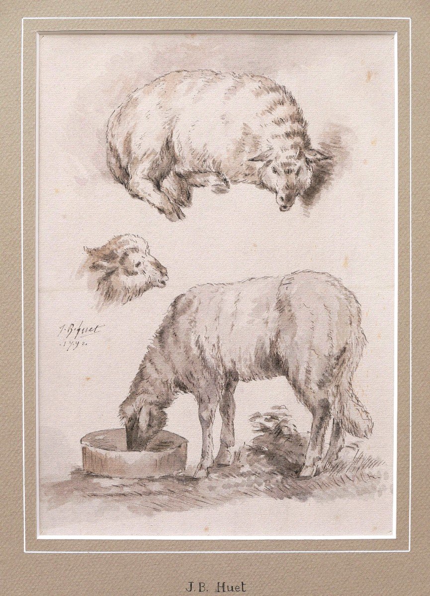 Jean-baptiste Hüet, Three Studies Of Sheeps-photo-4