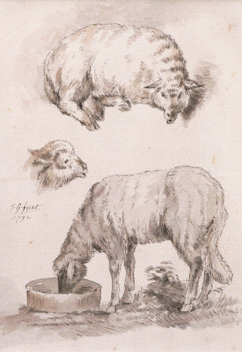 Jean-baptiste Hüet, Three Studies Of Sheeps