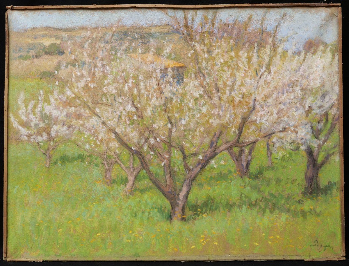 Marcel POGGIOLI, Cerisiers en fleurs en Provence-photo-1