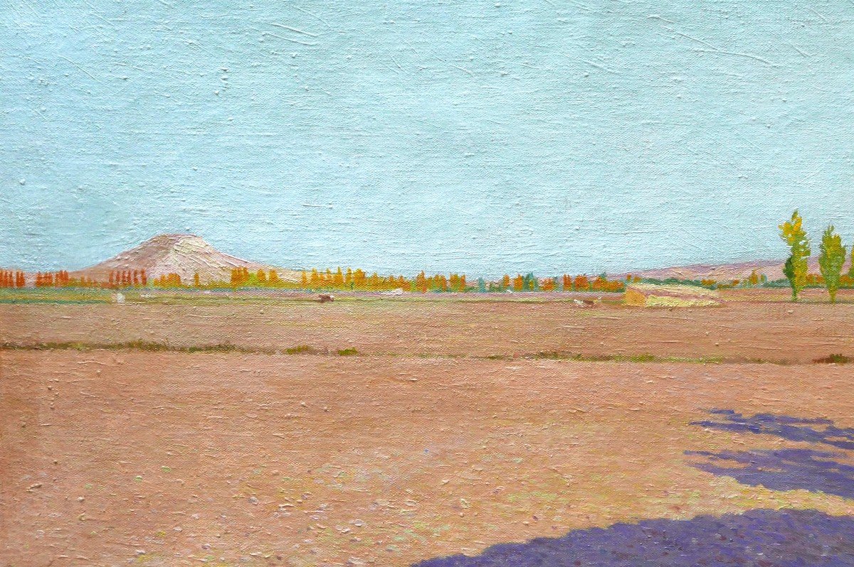 Antonio MAFFEI CARBALLO, Paysage de la province de Valladolid en Espagne-photo-2