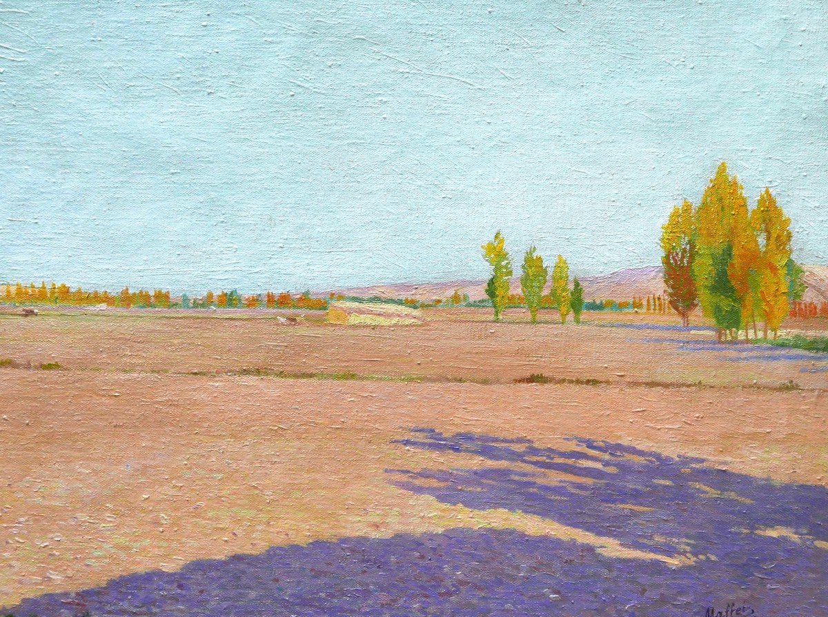 Antonio MAFFEI CARBALLO, Paysage de la province de Valladolid en Espagne-photo-3