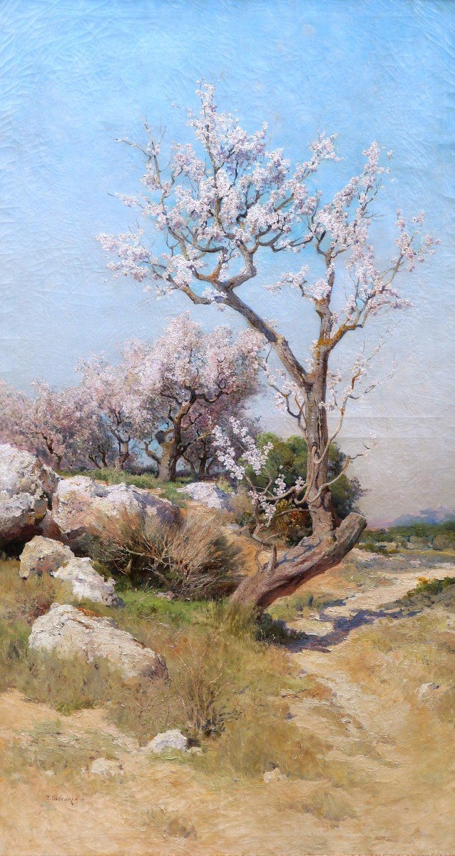 Théophile Henri Décanis, Almond Trees In Bloom, Provence (very Large Format)-photo-2