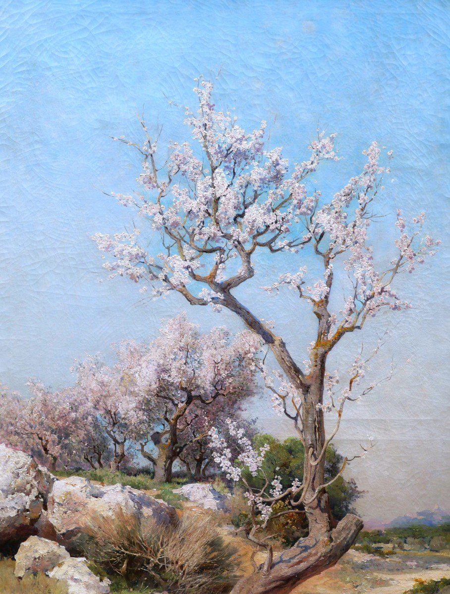 Théophile Henri Décanis, Almond Trees In Bloom, Provence (very Large Format)-photo-3