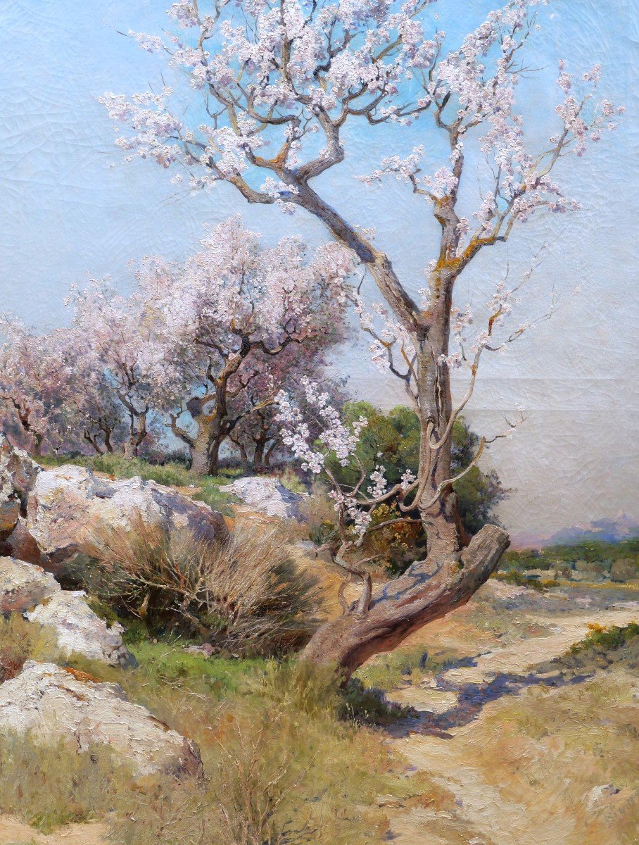 Théophile Henri Décanis, Almond Trees In Bloom, Provence (very Large Format)-photo-4