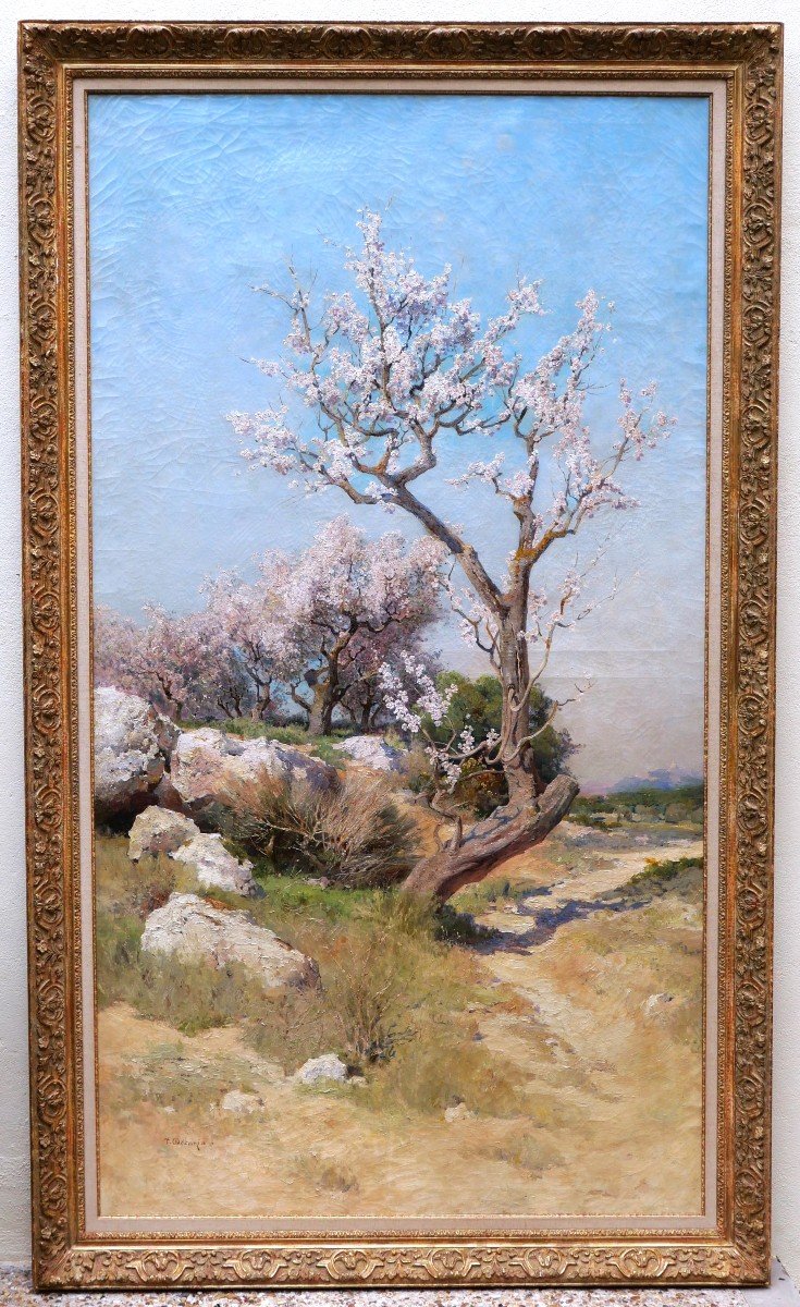 Théophile Henri Décanis, Almond Trees In Bloom, Provence (very Large Format)-photo-2