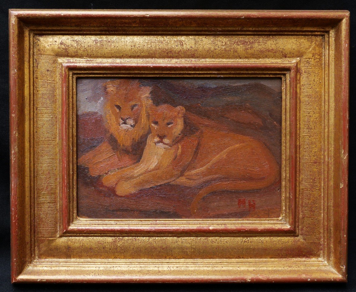 Mateo Hernández Sánchez, Lion And Lioness Lying Down-photo-3