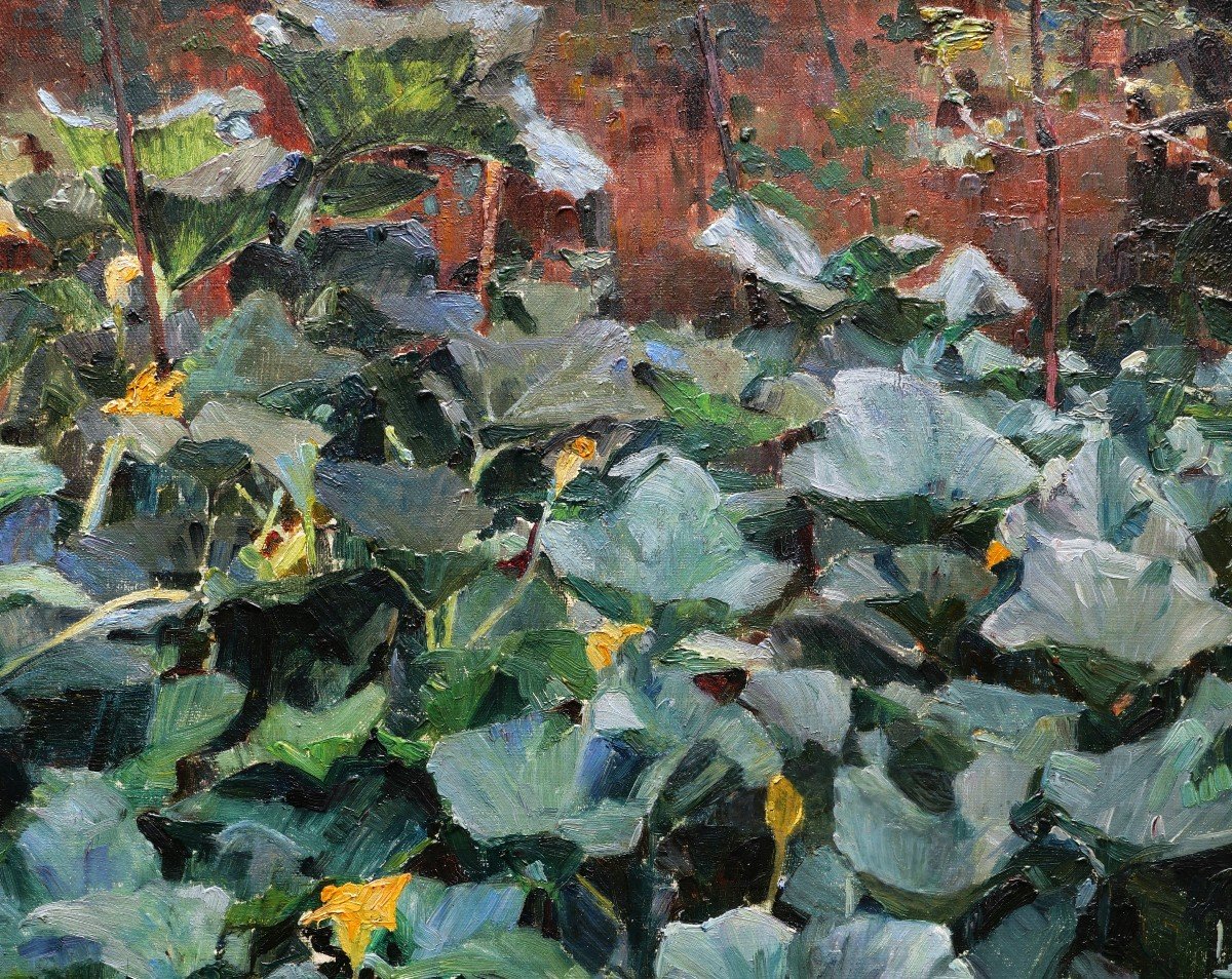 Marius Adolphe Culmann, Flowering Squash Bed-photo-2