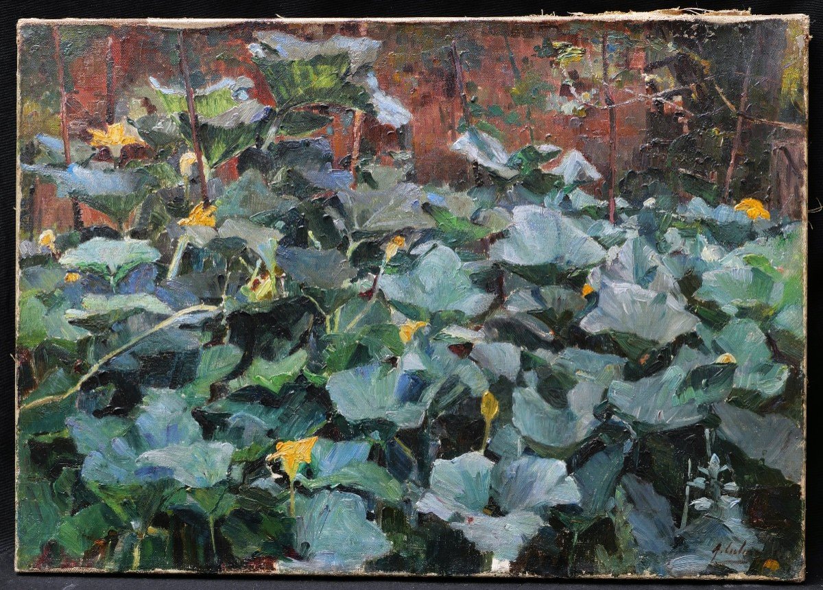 Marius Adolphe Culmann, Flowering Squash Bed-photo-4