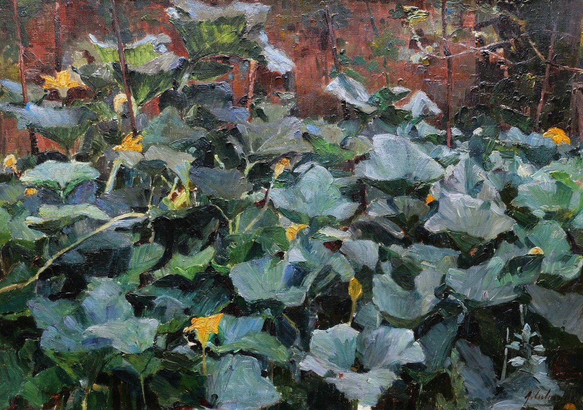 Marius Adolphe Culmann, Flowering Squash Bed