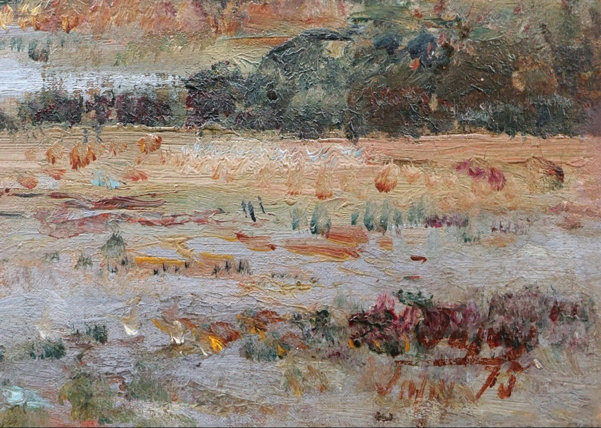Louis Aimé JAPY, Breton et Bretonne dans un paysage de marais-photo-3
