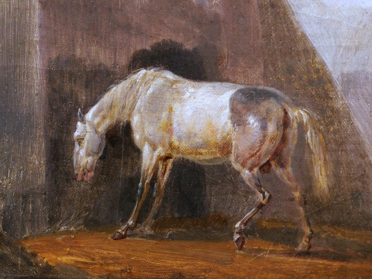 Dutch School Circa 1800, In The Style Of Paulus Potter, White Horse In A Landscape-photo-2