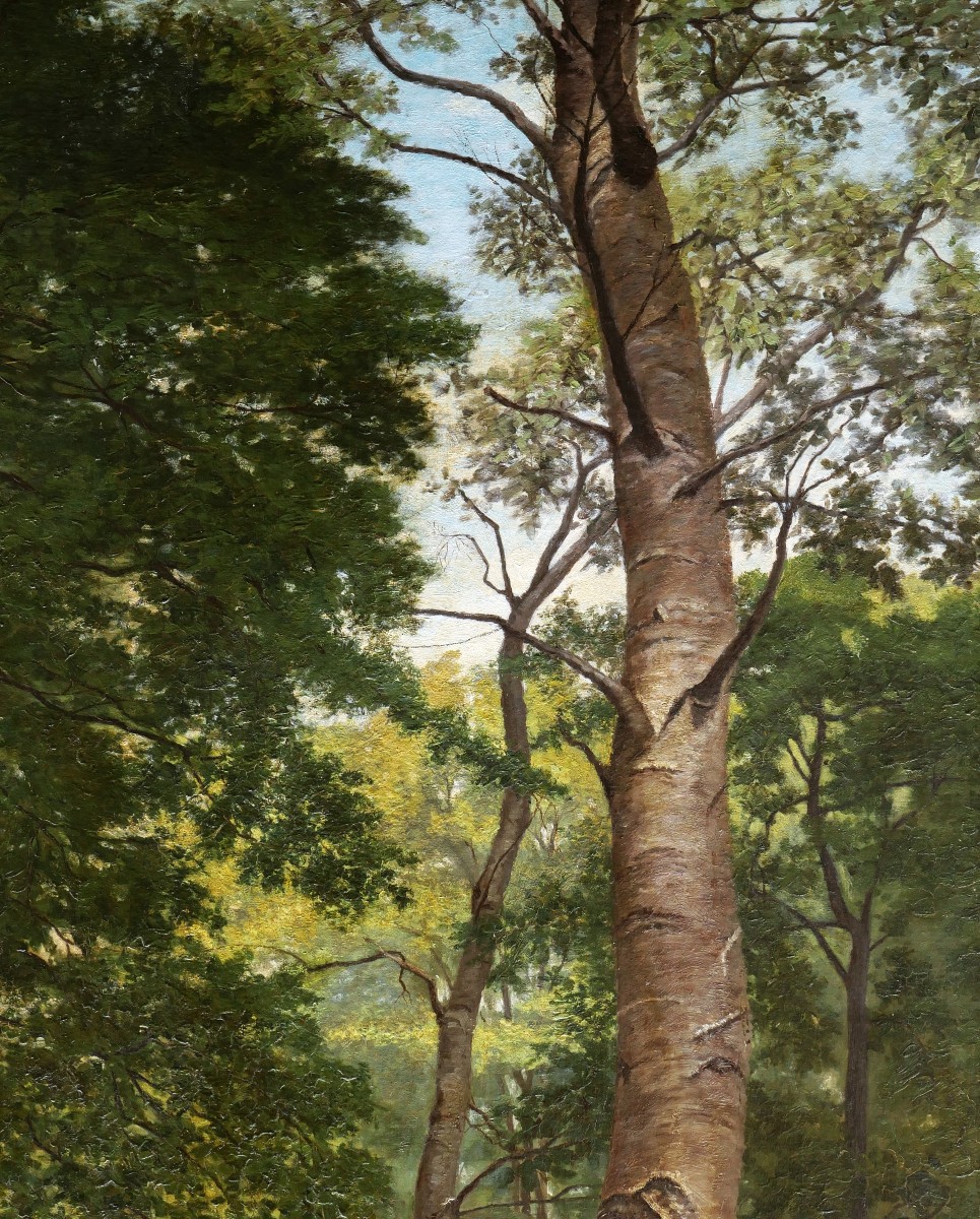 Georges RODRIGUES HENRIQUES, Vue sur un étang en Forêt de Marly (TRÈS GRAND FORMAT)-photo-4