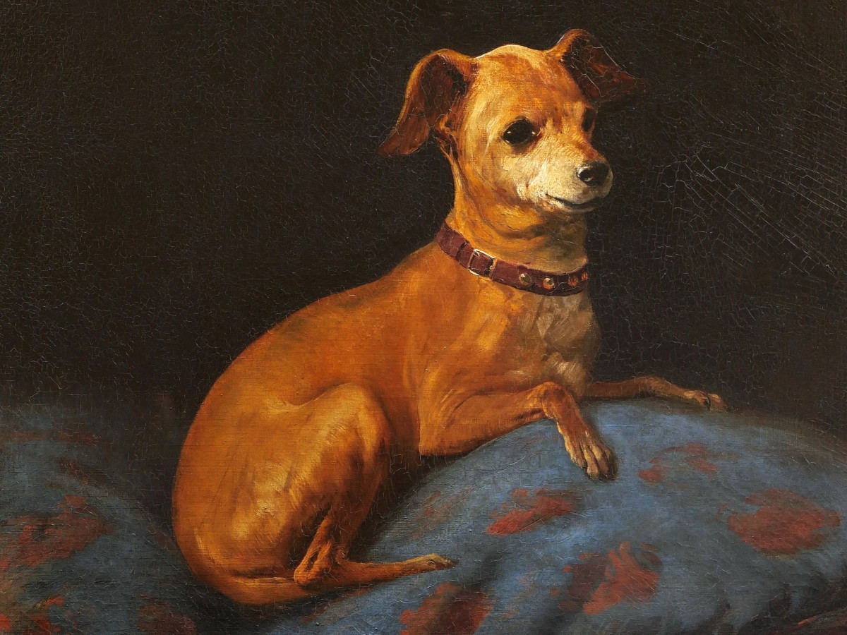 Louis Rémy Sabattier, Portrait Of The Dog Miette-photo-2