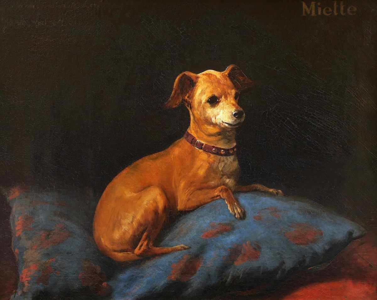 Louis Rémy Sabattier, Portrait Of The Dog Miette