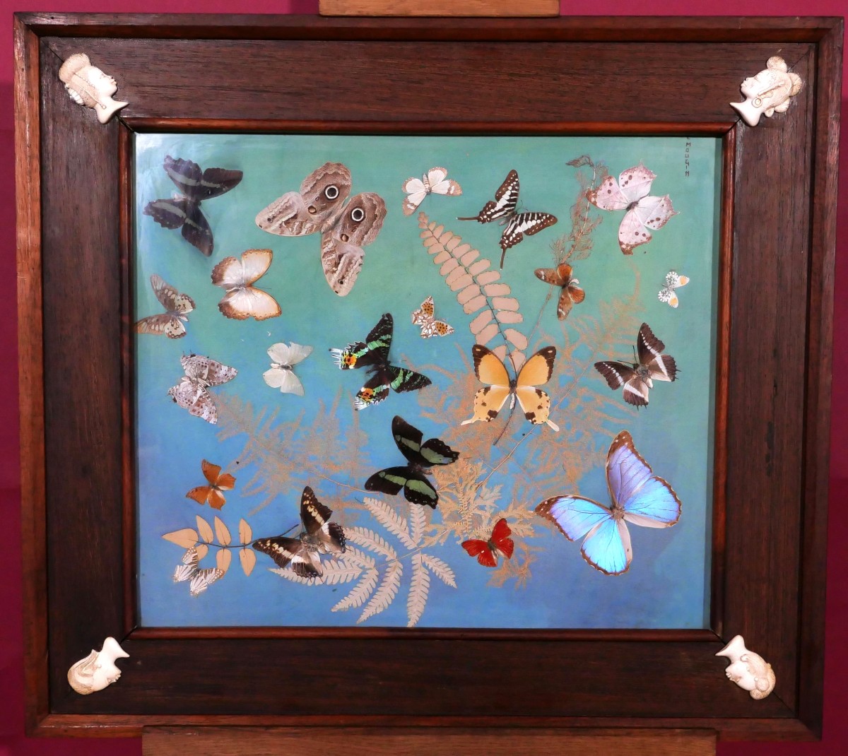 Colonial Frame In Mahogany, Palm And Ivory
