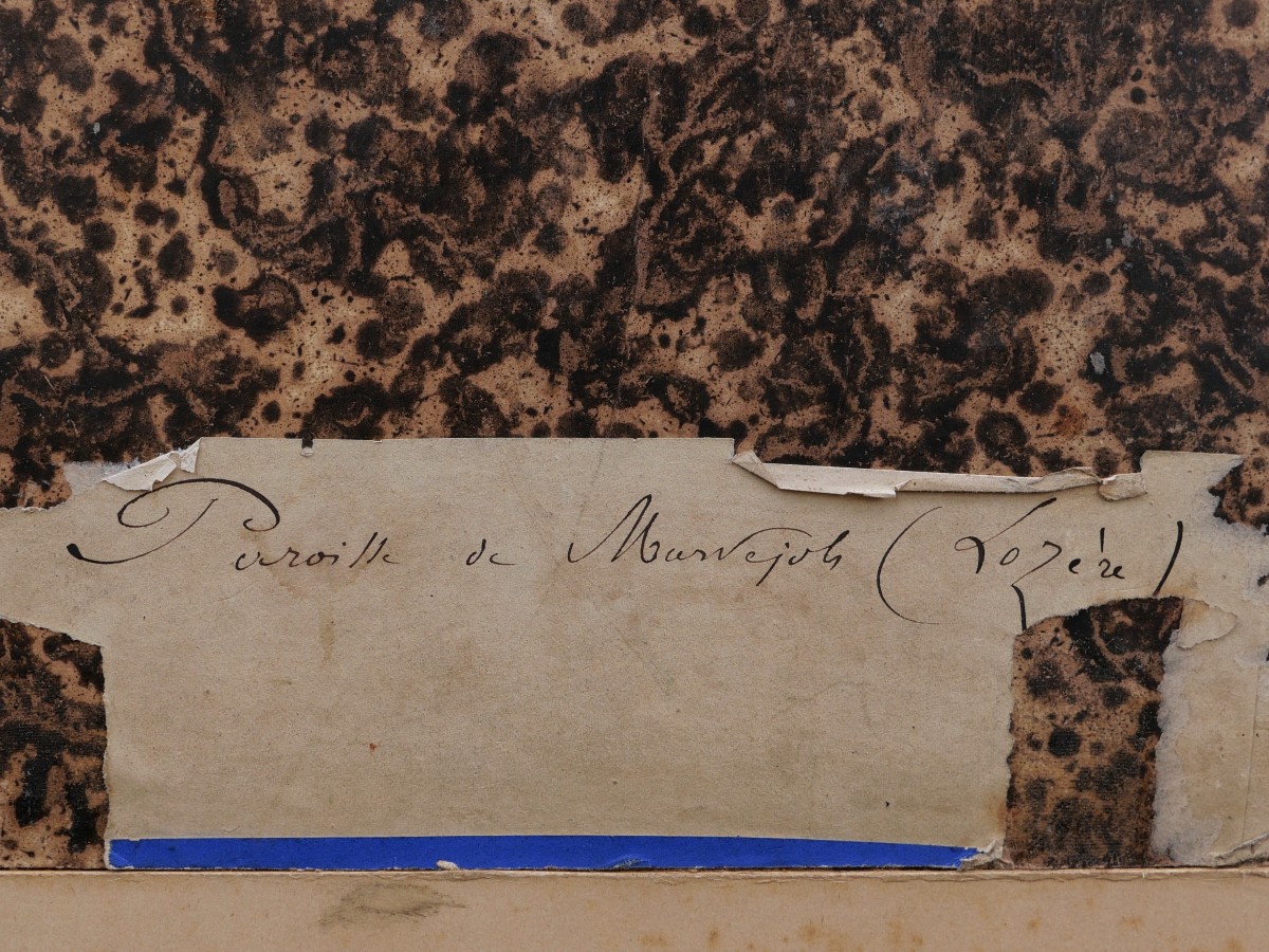 École FRANÇAISE début XIXème, Vue animée de l'intérieur de la Collégiale de Marvejols (Lozère)-photo-5