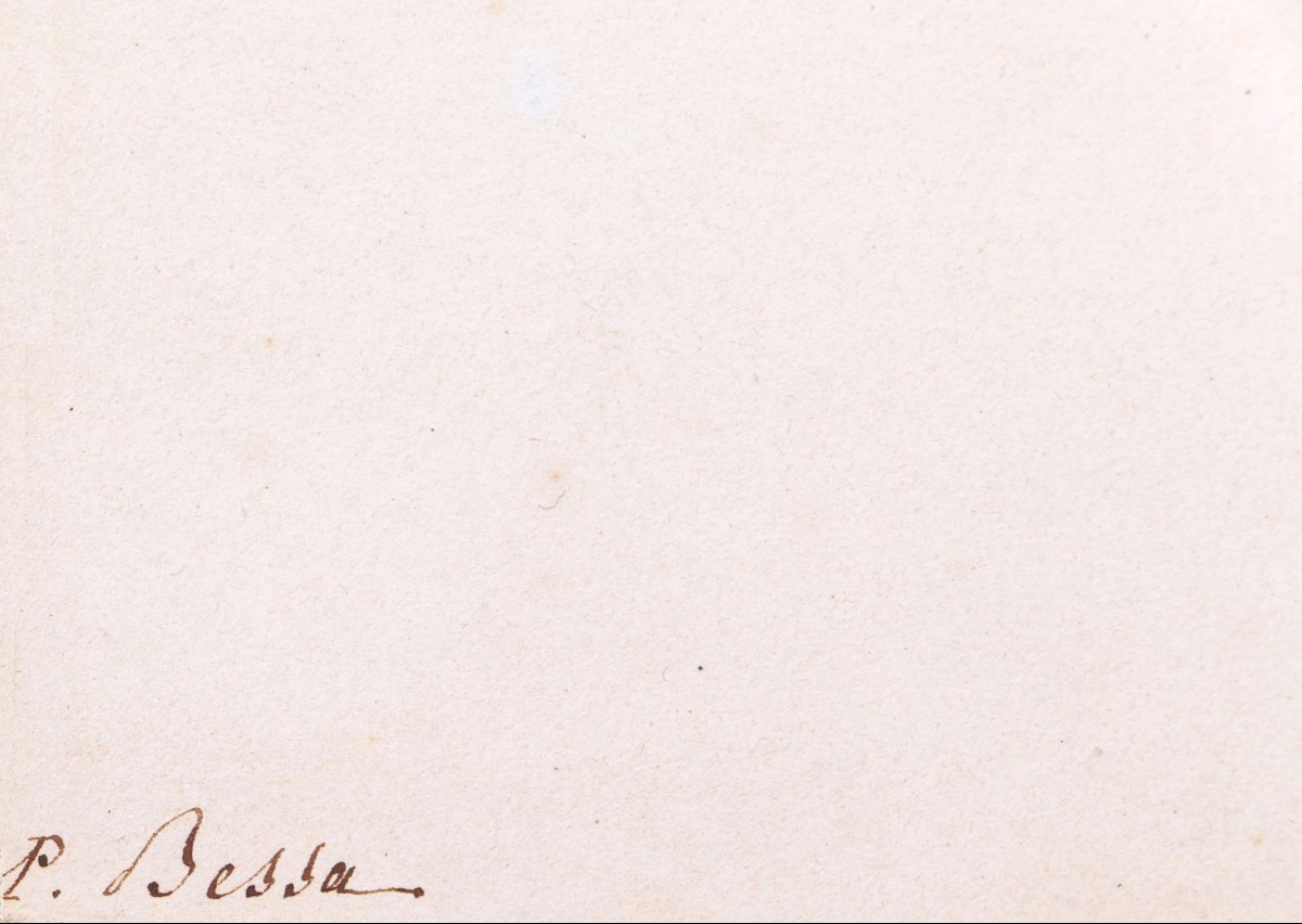 Pancrace BESSA, Pluvier à face noire (Charadrius melanops)-photo-4