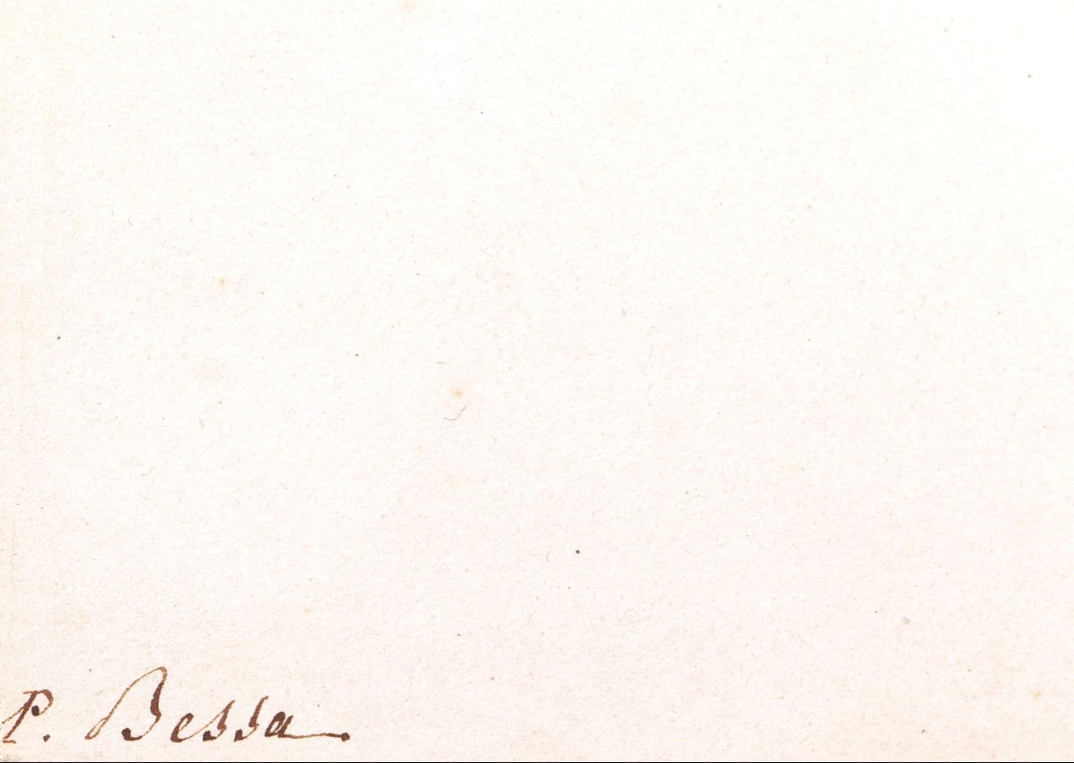 Pancrace  Bessa, Black Faced Plover (charadrius Melanops)-photo-4