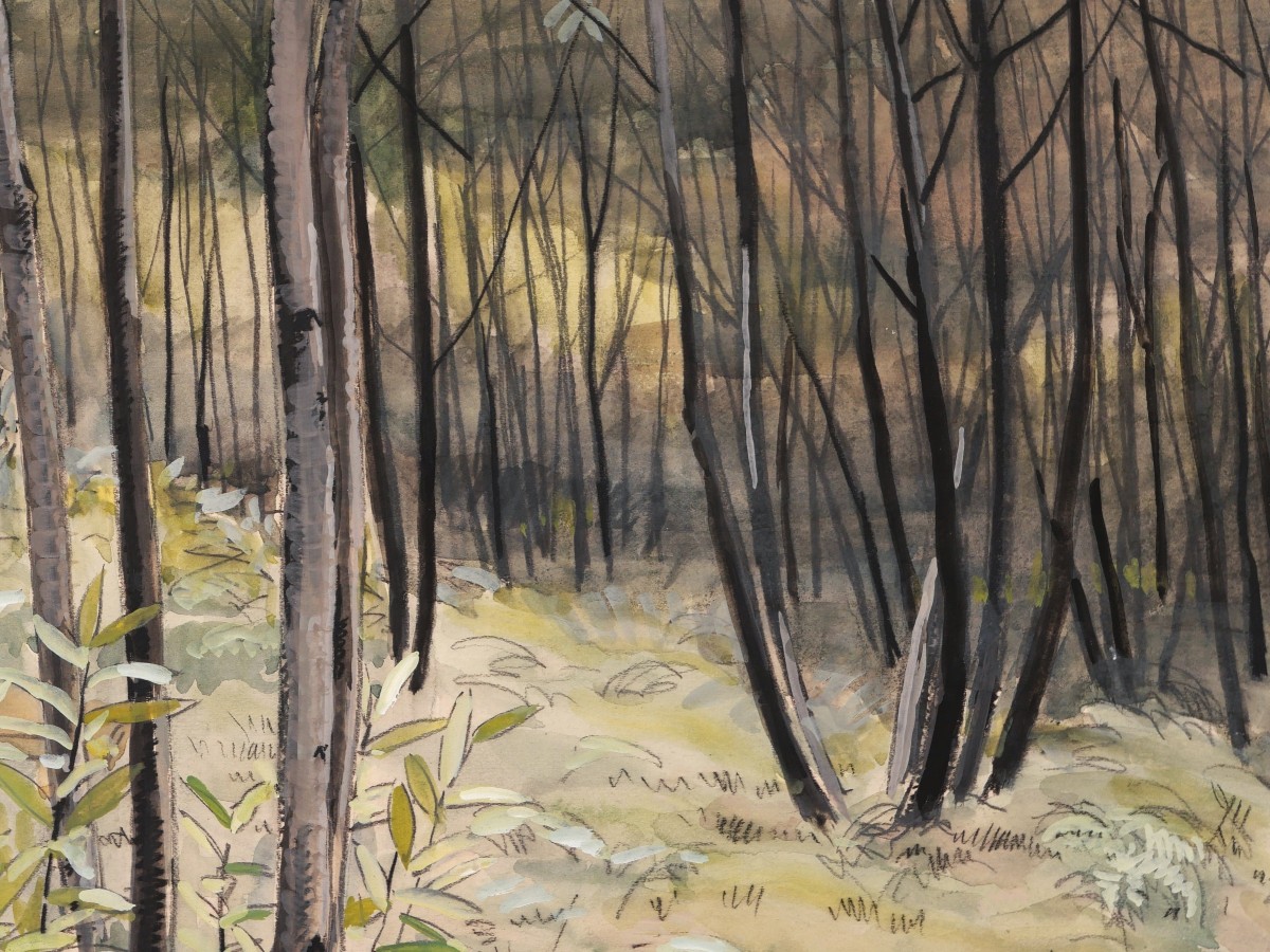 Marcelle LADEUIL, Sous-bois dans une forêt de bouleaux-photo-2