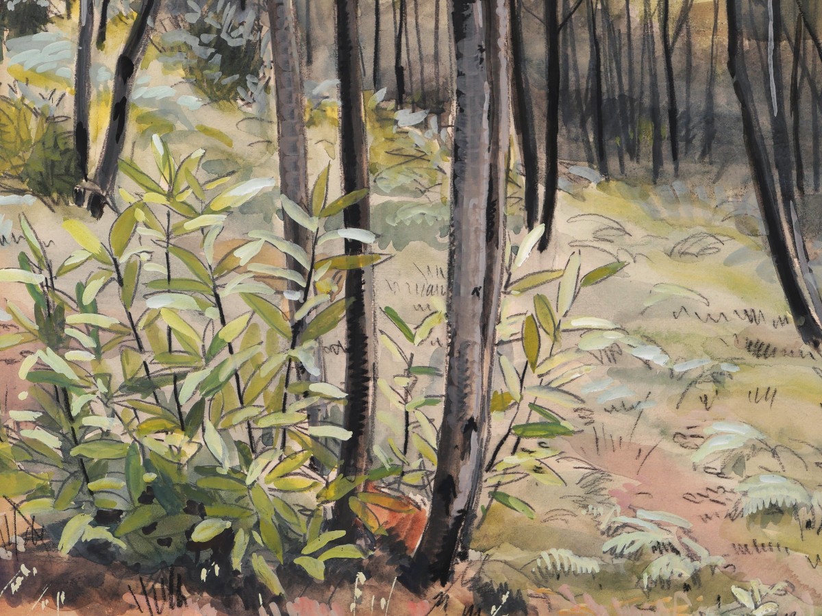 Marcelle LADEUIL, Sous-bois dans une forêt de bouleaux-photo-3