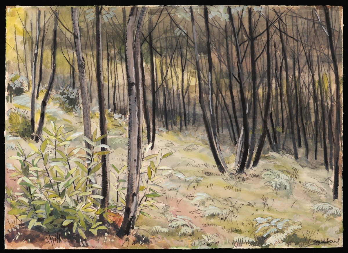 Marcelle LADEUIL, Sous-bois dans une forêt de bouleaux-photo-1