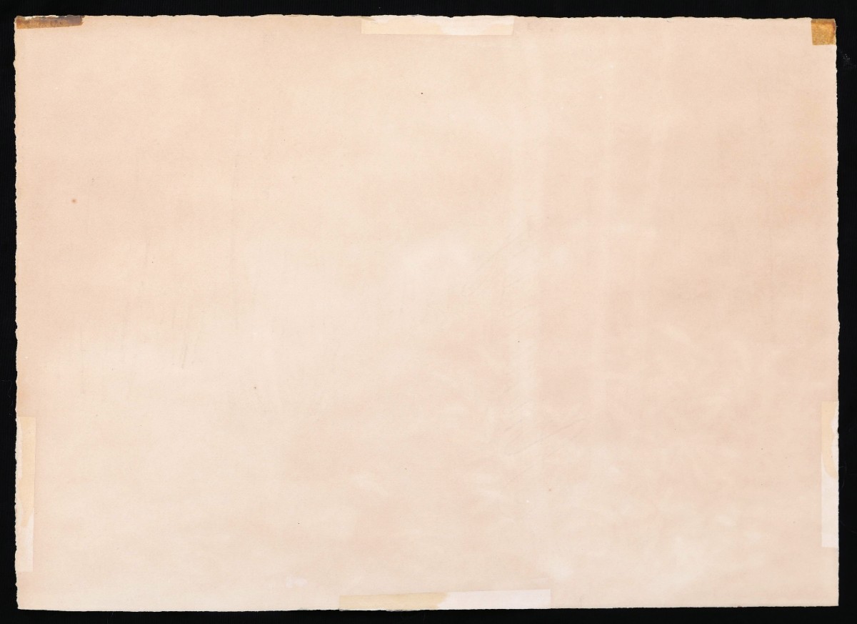 Marcelle LADEUIL, Sous-bois dans une forêt de bouleaux-photo-2