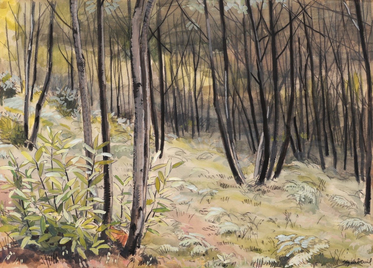 Marcelle LADEUIL, Sous-bois dans une forêt de bouleaux