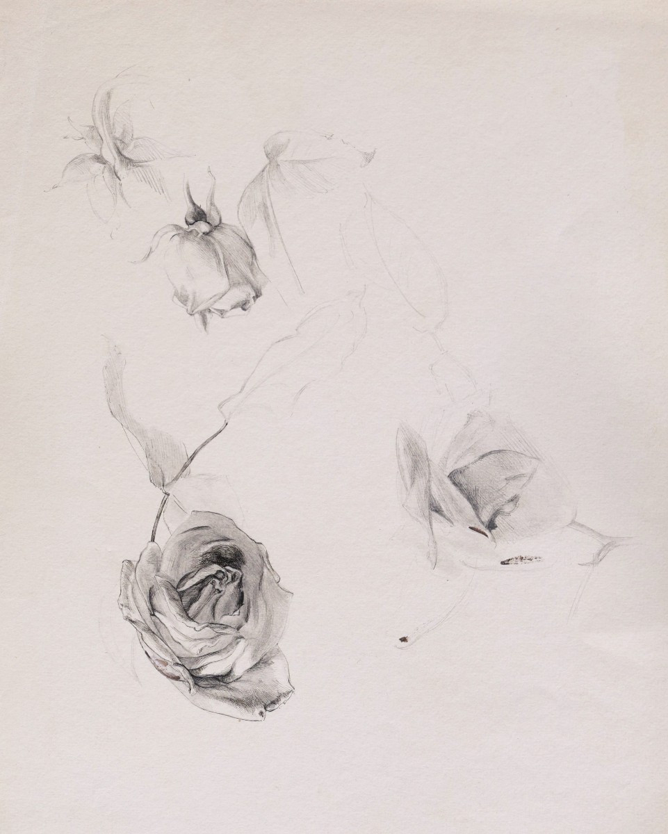 École FRANÇAISE du XIXème siècle, Trois études de fleurs-photo-2