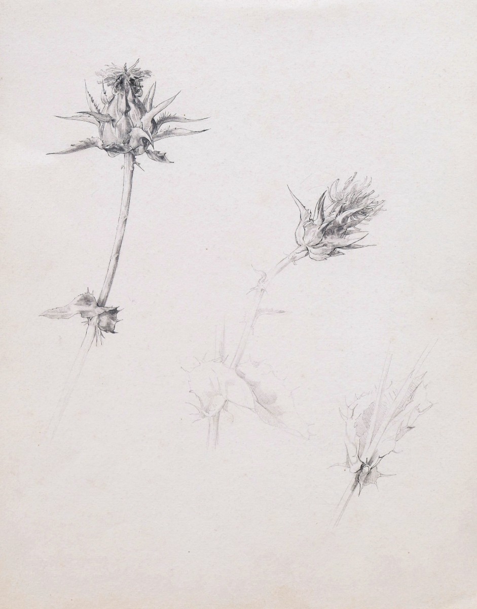 École FRANÇAISE du XIXème siècle, Trois études de fleurs-photo-4