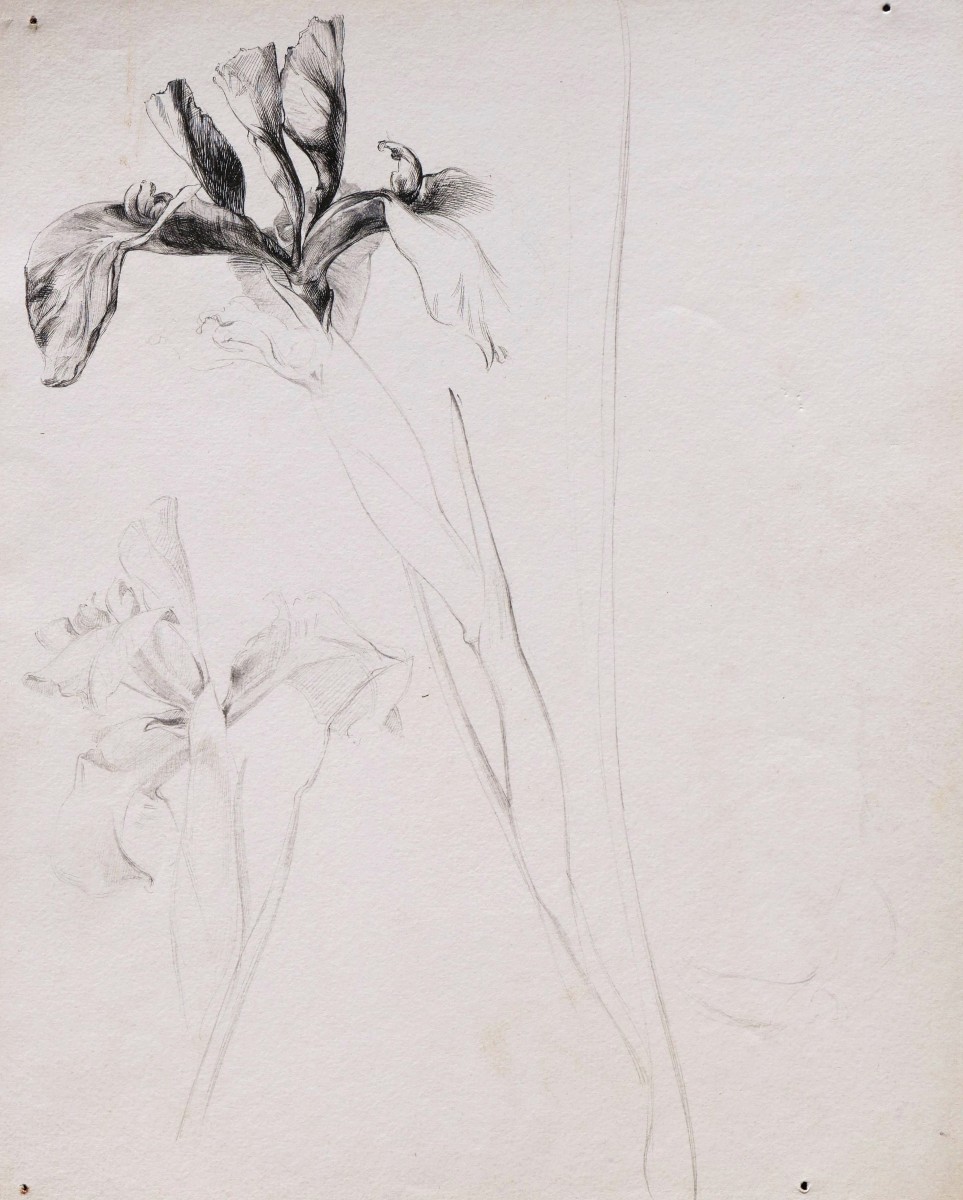 École FRANÇAISE du XIXème siècle, Trois études de fleurs-photo-3