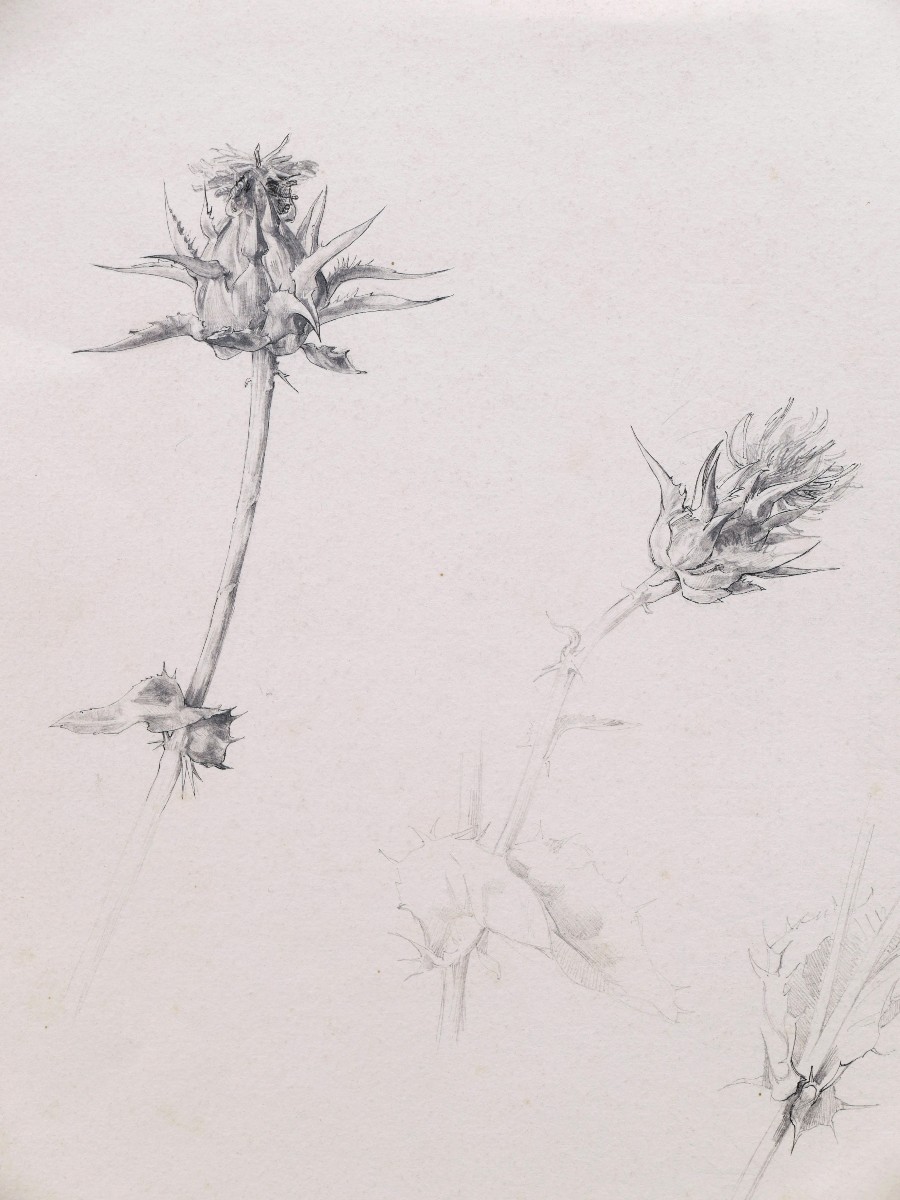 École FRANÇAISE du XIXème siècle, Trois études de fleurs-photo-2