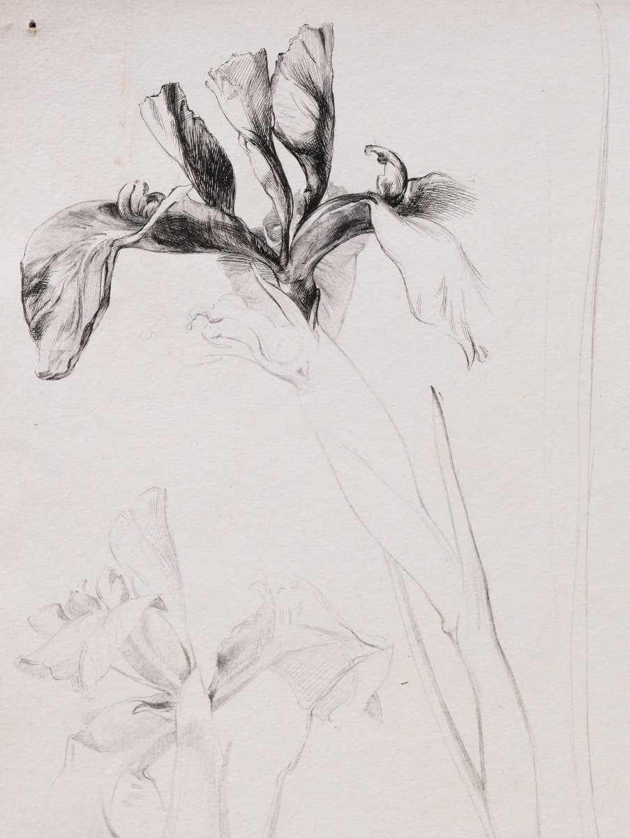 École FRANÇAISE du XIXème siècle, Trois études de fleurs-photo-1