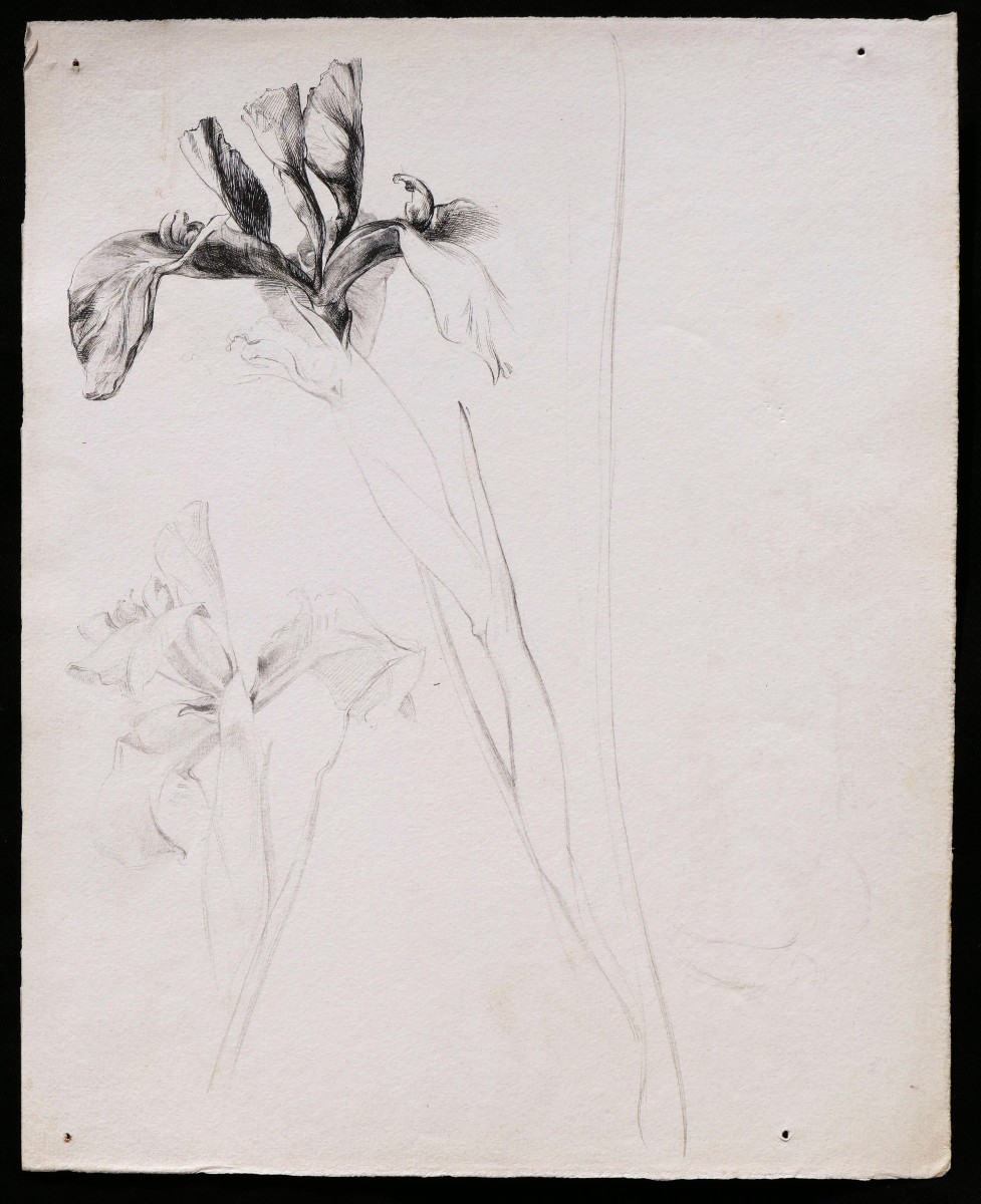 École FRANÇAISE du XIXème siècle, Trois études de fleurs-photo-4