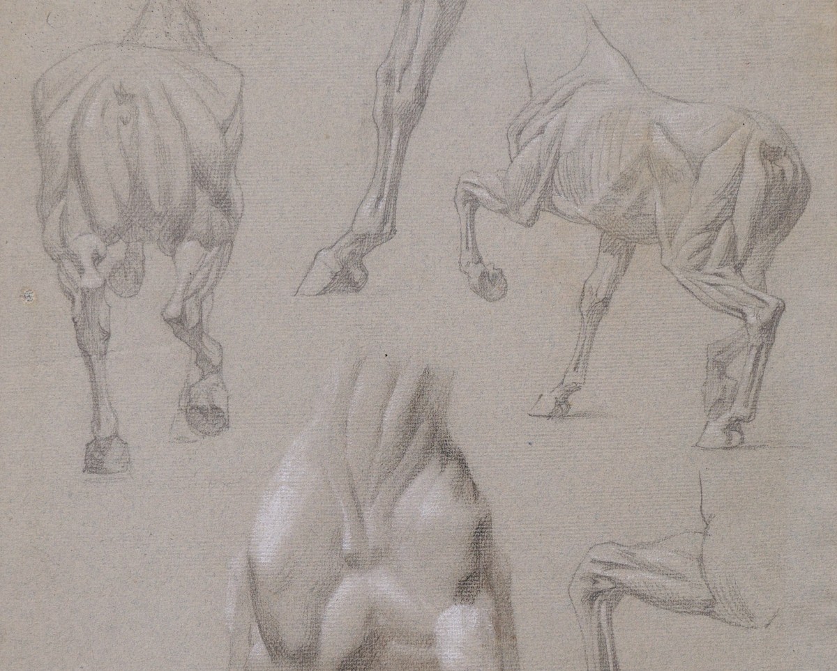 Attributed To Isidore Jules Bonheur, Anatomical Studies Of Horses-photo-2