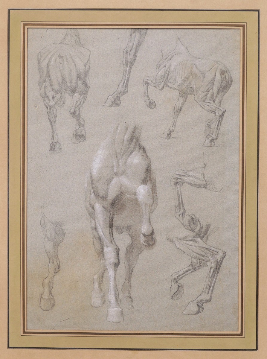 Attributed To Isidore Jules Bonheur, Anatomical Studies Of Horses-photo-4