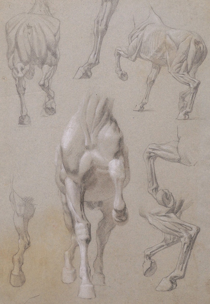 Attributed To Isidore Jules Bonheur, Anatomical Studies Of Horses
