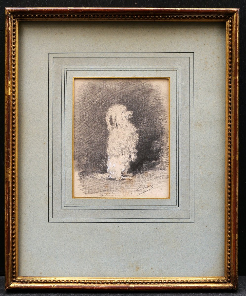 Maxime LALANNE, Caniche faisant le beau, dessin de chien-photo-3