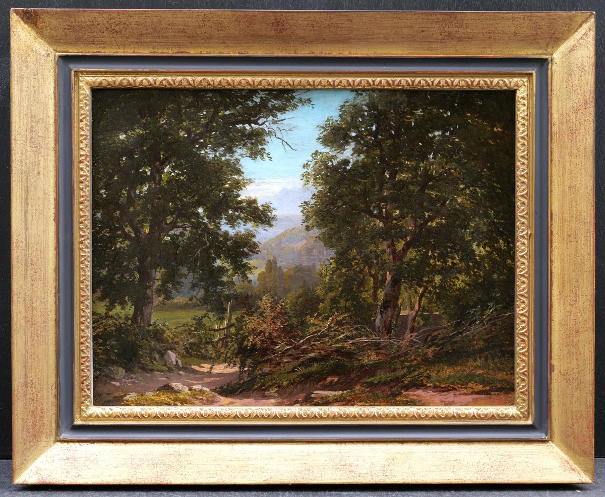 Hélène Pourra Anselmier, Alpine Landscape Near Virieu-le-grand, Painting -photo-3