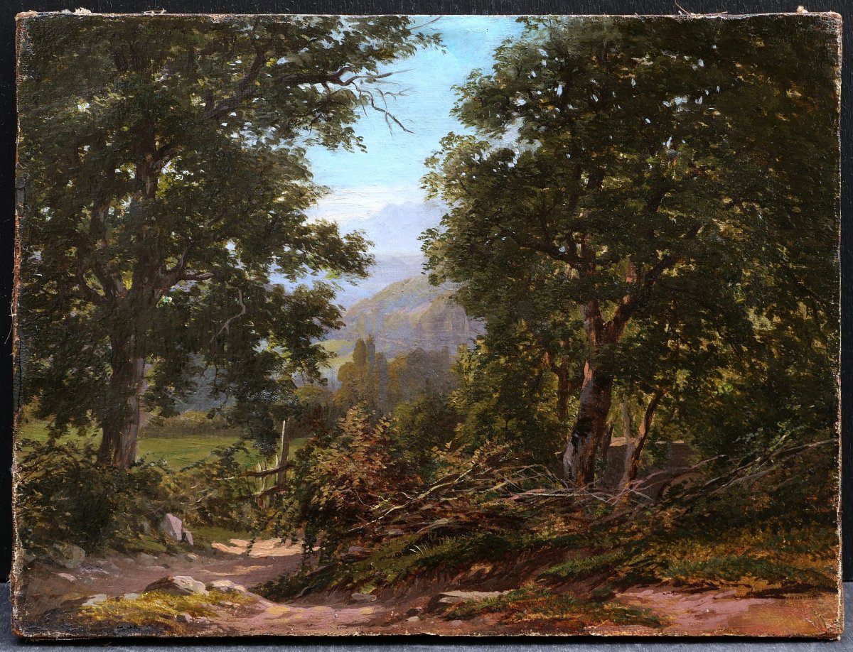 Hélène Pourra Anselmier, Alpine Landscape Near Virieu-le-grand, Painting -photo-4