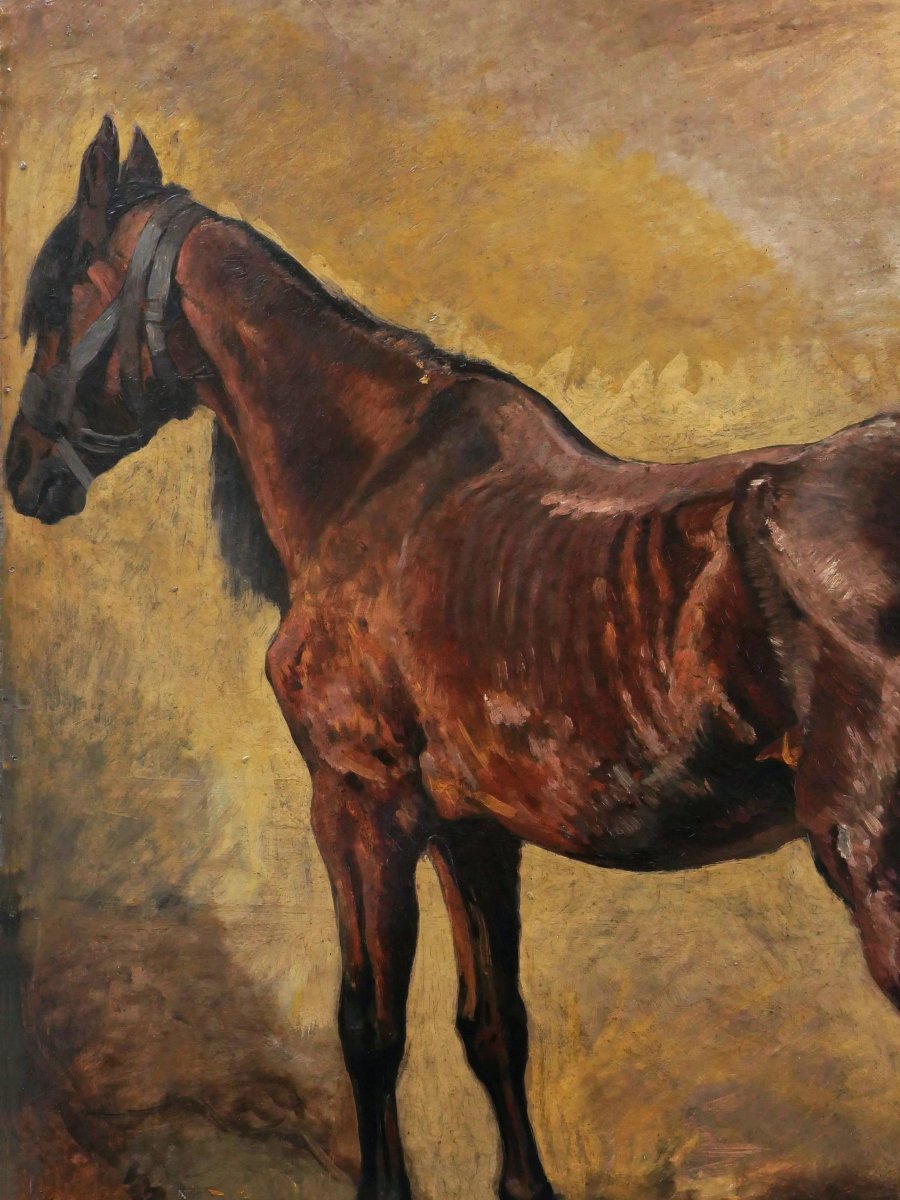 Heinrich Ludwig Christian Dietrich Winter, Three-quarter Back View Of A Brown Horse, German Painting-photo-2