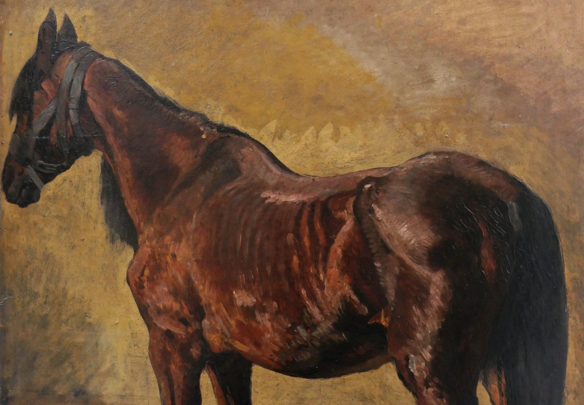Heinrich Ludwig Christian Dietrich Winter, Three-quarter Back View Of A Brown Horse, German Painting-photo-3