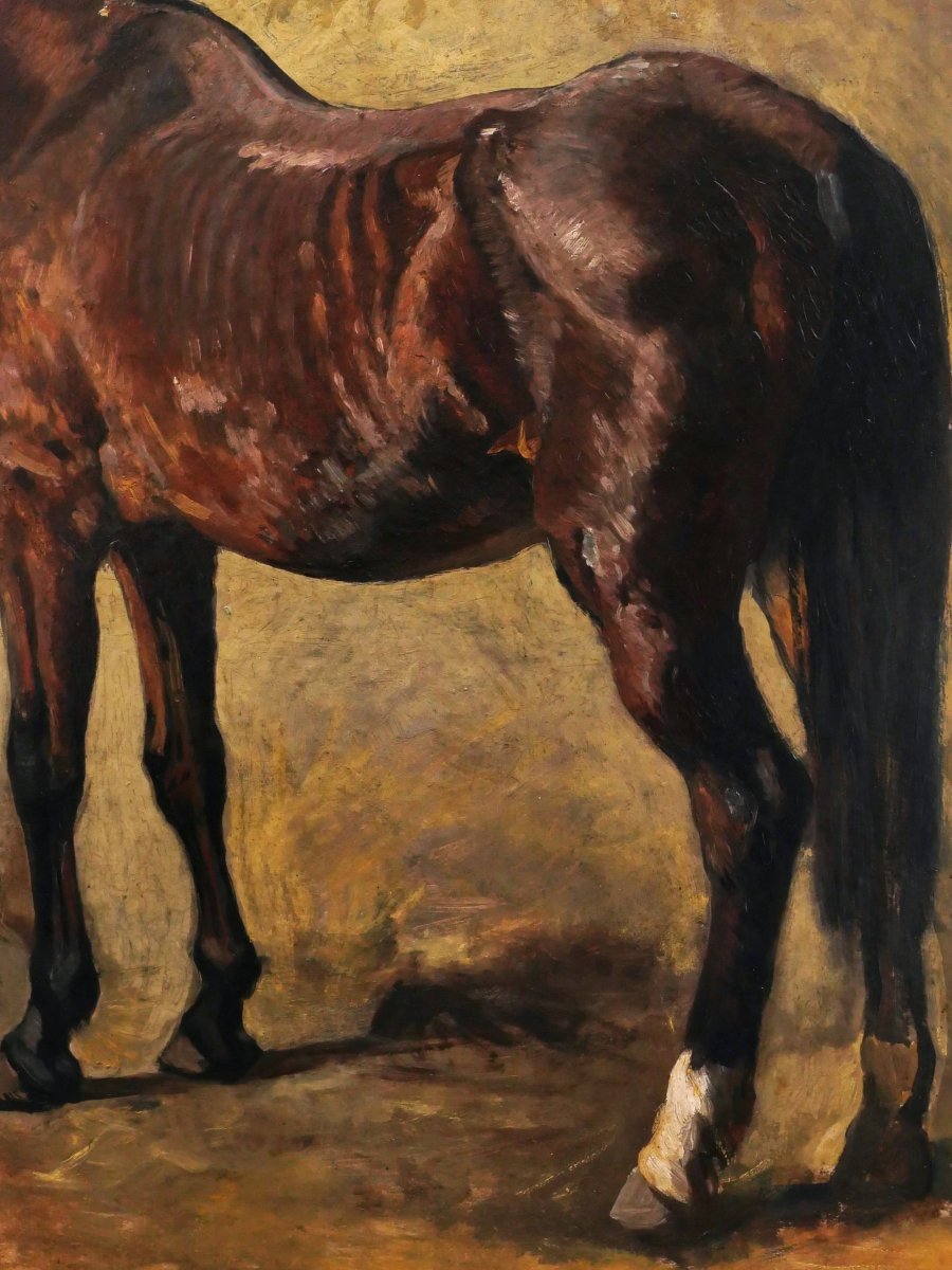 Heinrich Ludwig Christian Dietrich Winter, Three-quarter Back View Of A Brown Horse, German Painting-photo-4